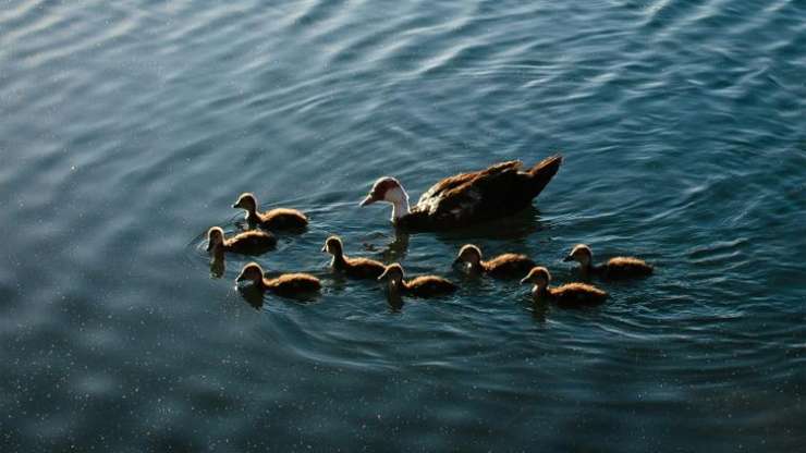 Mediation Near Me in Battersea